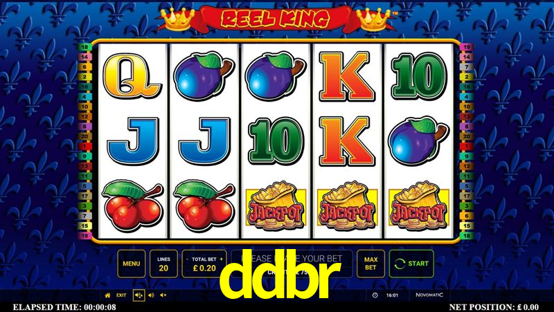 Basketball Betting ddbr